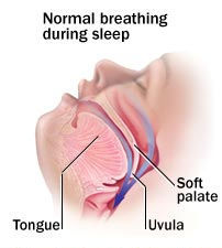 normal breathing during sleep